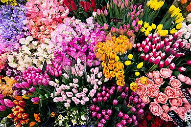 3DM速报：动视暴雪花1800万刀破财免灾 战地2042或于10月6日开测